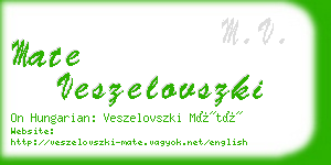 mate veszelovszki business card